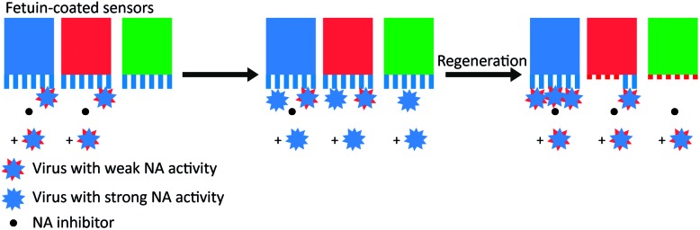 Fig. 5