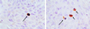 Fig 2.