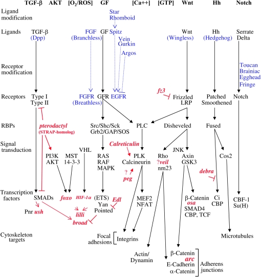 Figure 1.—