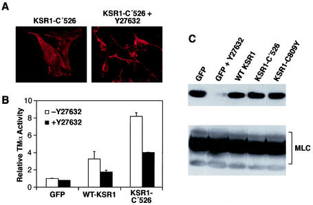 FIG. 6.