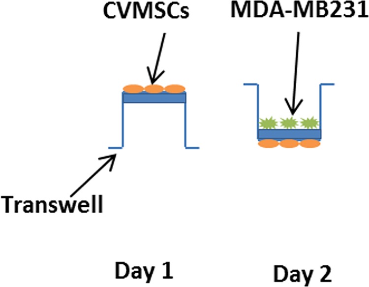 Fig 12