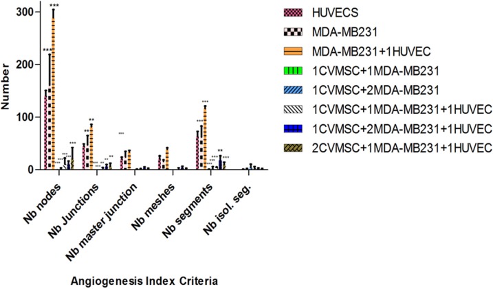 Fig 10