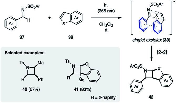 Fig. 13