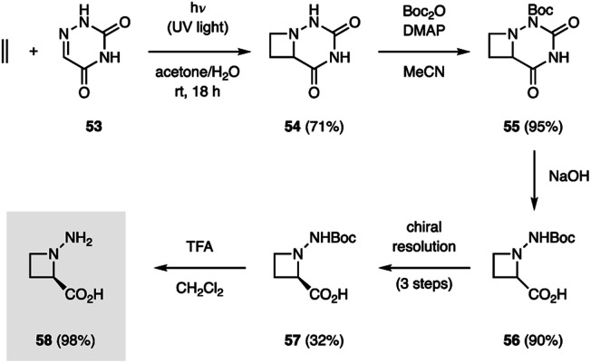 Fig. 17