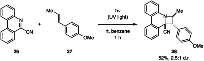 Fig. 10