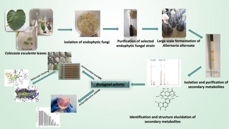 graphic file with name 13568_2023_1568_Figa_HTML.jpg