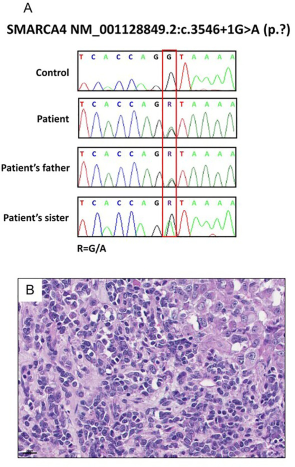 Figure 3