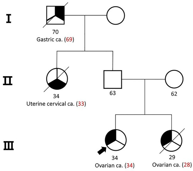 Figure 1