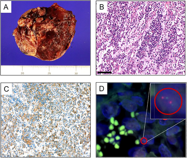 Figure 2