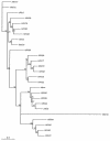 FIG. 2.
