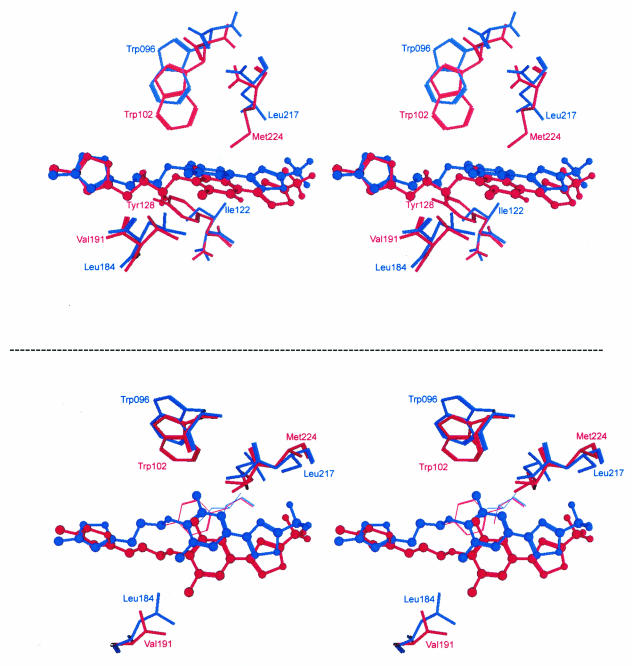 FIG. 6.