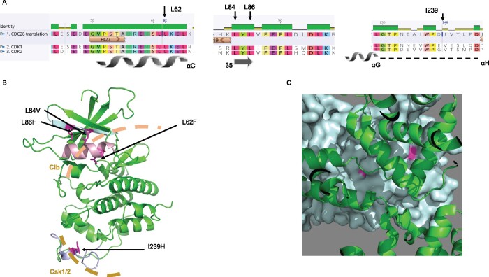 Figure 10