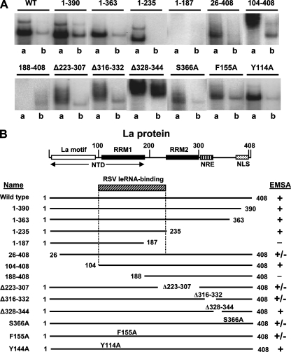 FIG. 6.