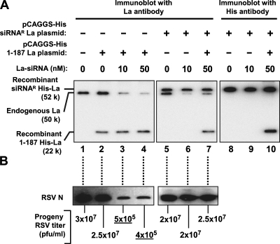 FIG. 7.