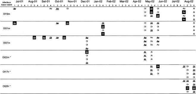 FIG. 3.