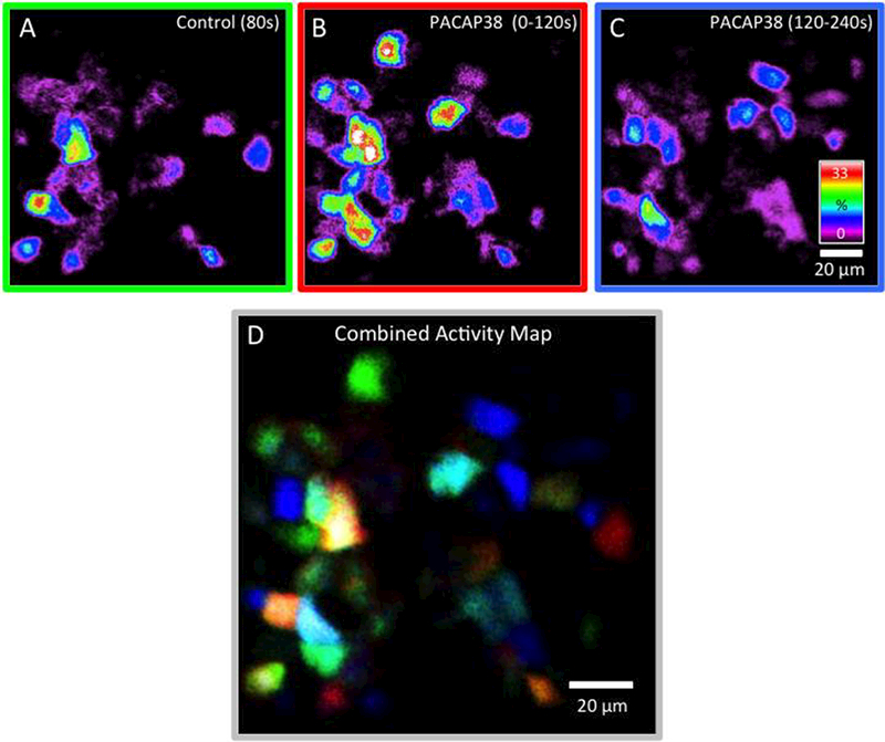 Figure 3: