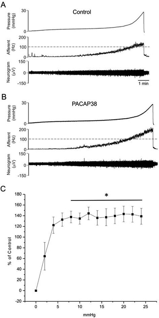 Figure 1: