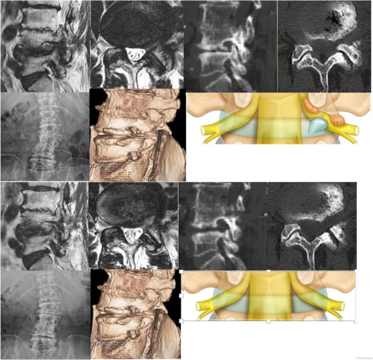 Fig. 6