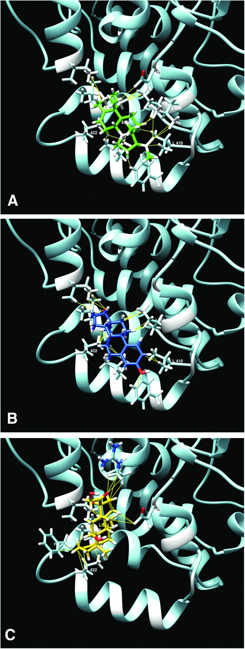 FIG. 4.