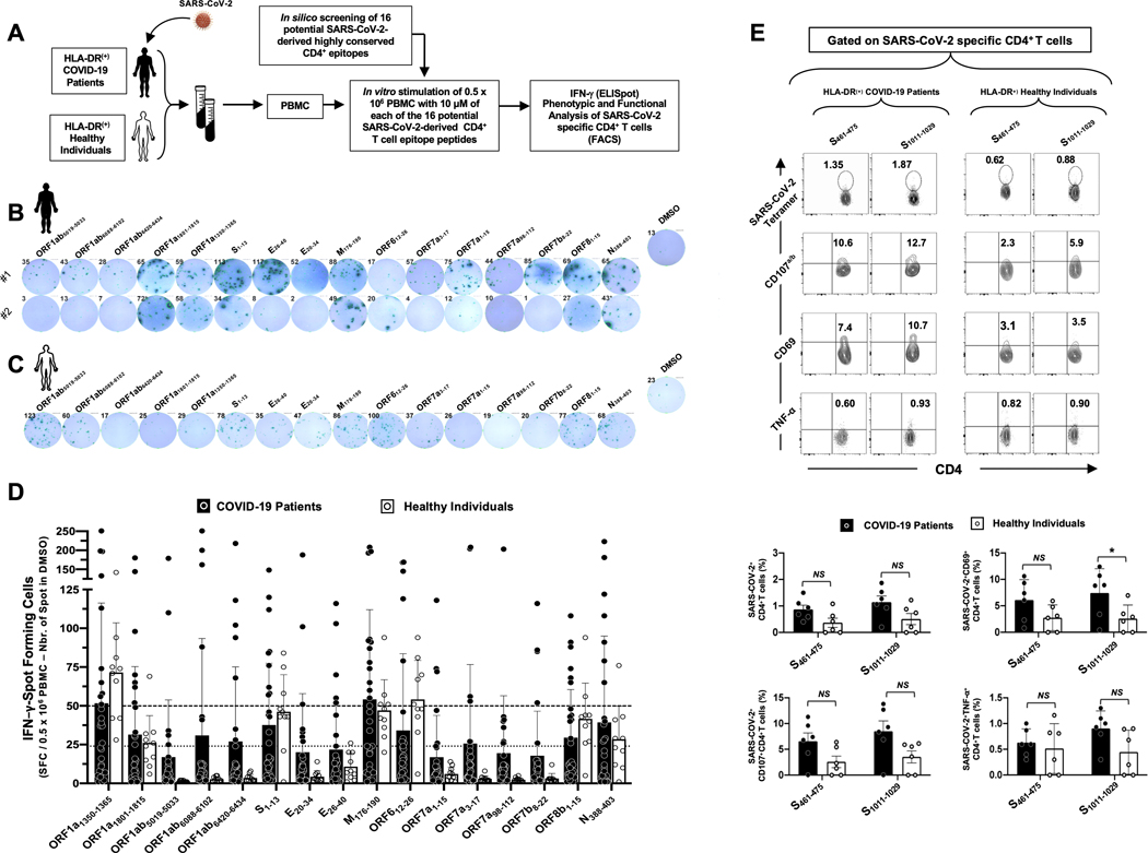 Figure 4: