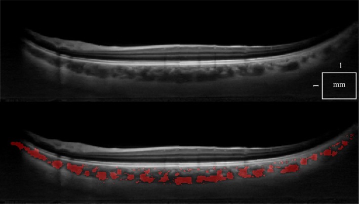 Fig. 7