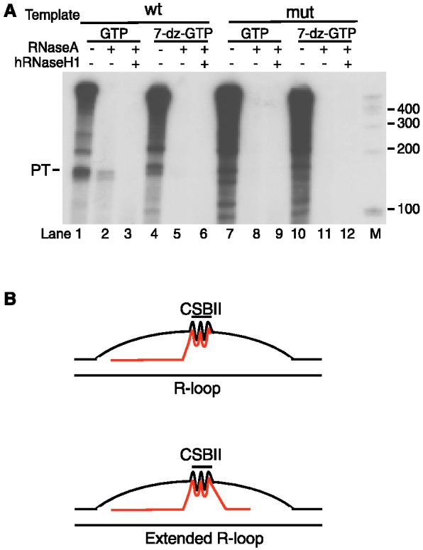 Figure 6.