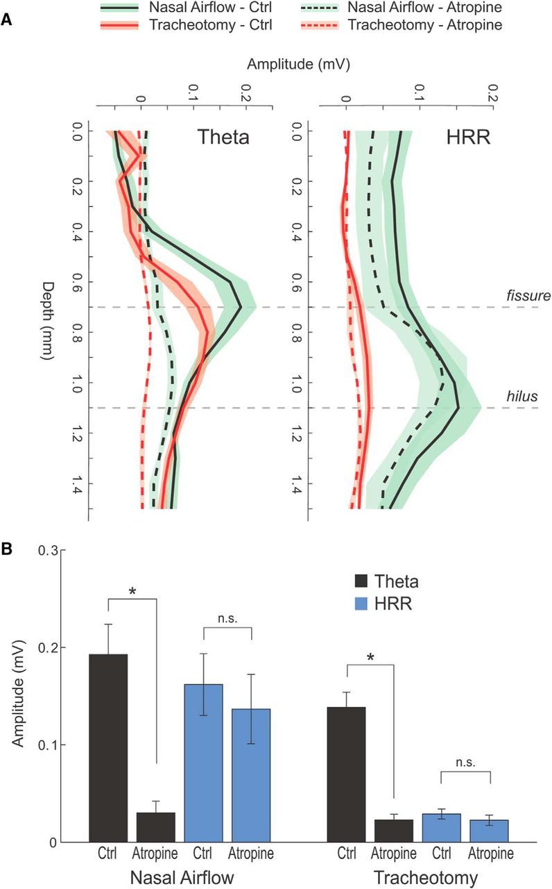 Figure 10.