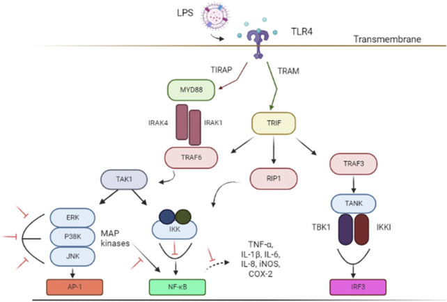 FIGURE 1