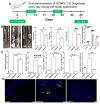 Fig. 11