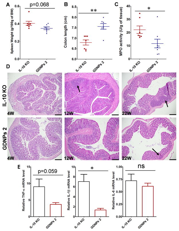 Fig. 10