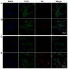 Fig. 7