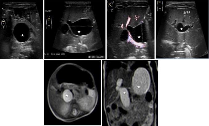 Fig. 10