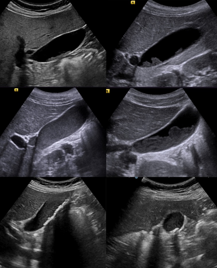 Fig. 6