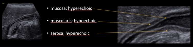 Fig. 4