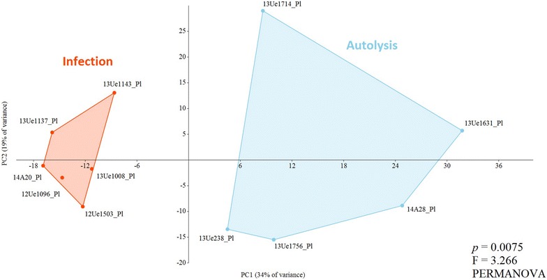 Figure 6