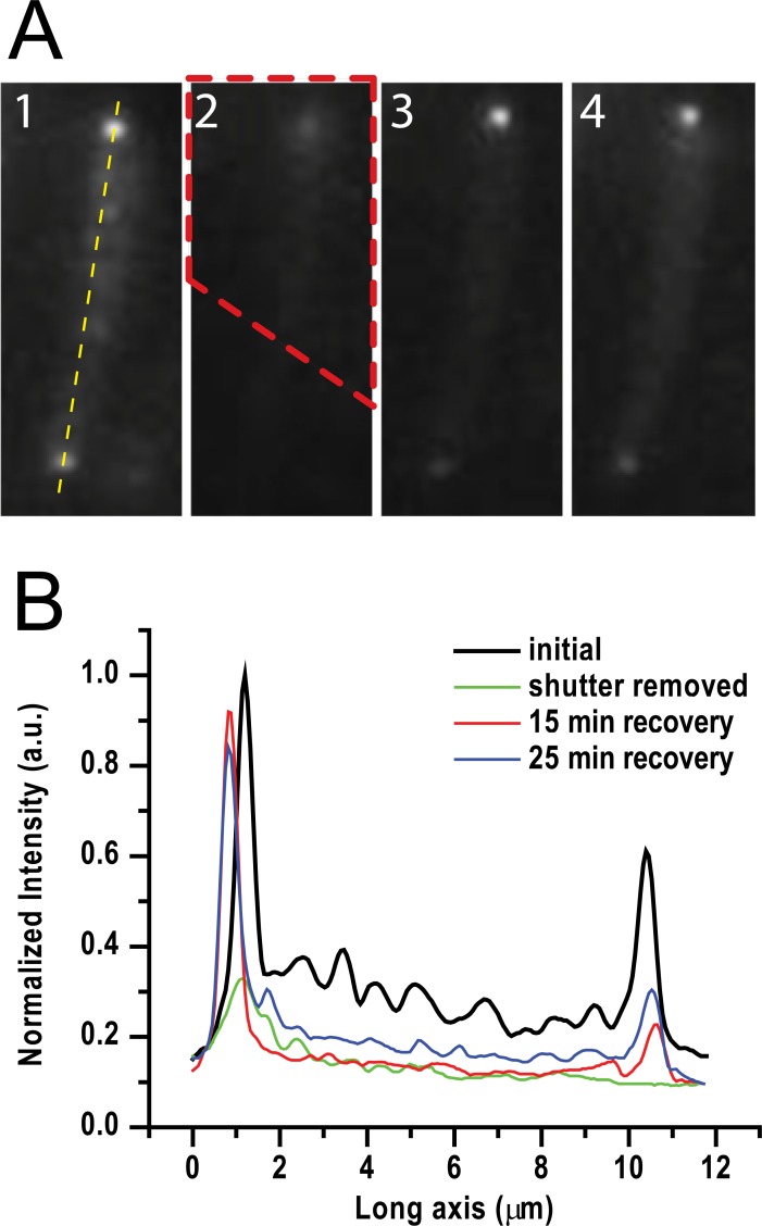 Fig 3