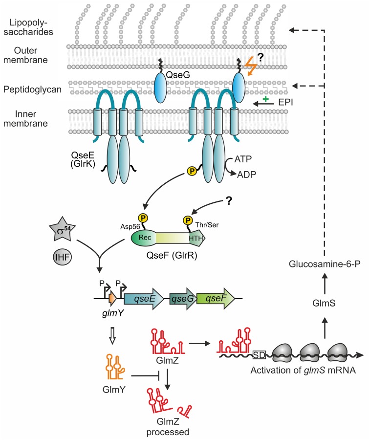 Fig 10