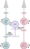 Figure 10.