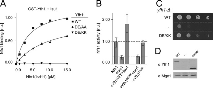 FIGURE 5.