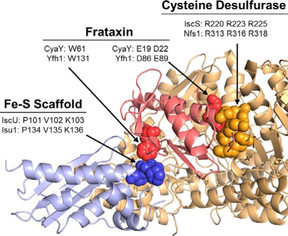 FIGURE 2.