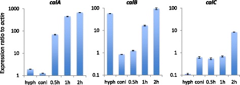 Fig. 3