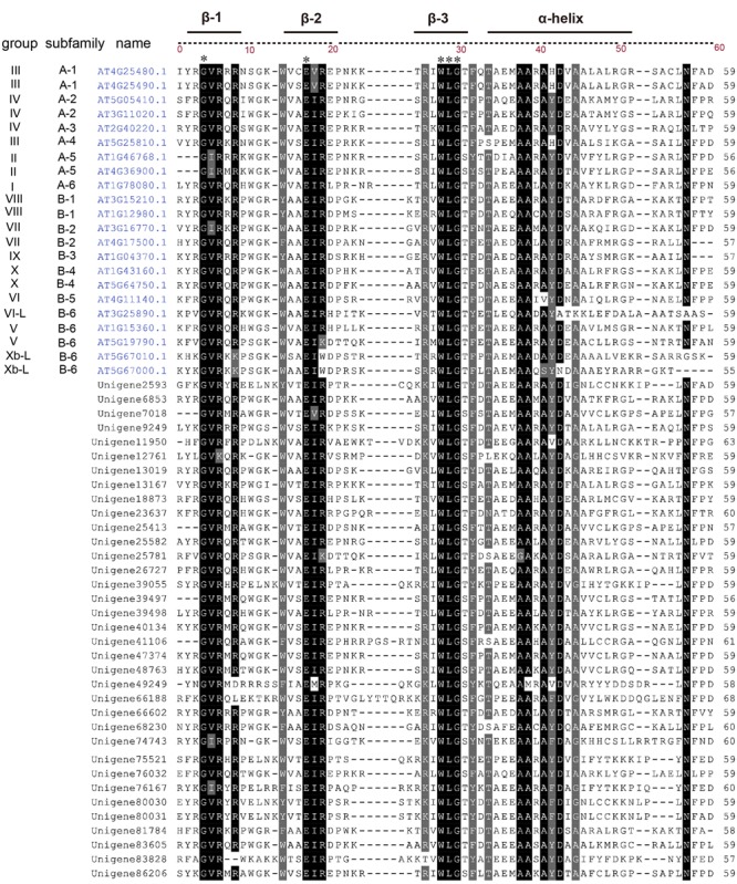 FIGURE 3