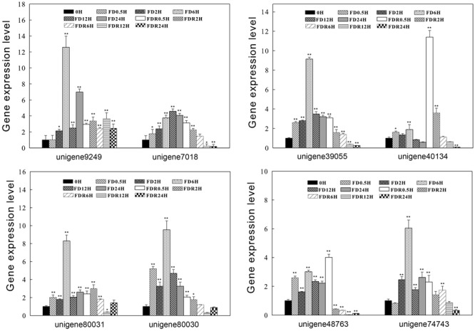 FIGURE 6