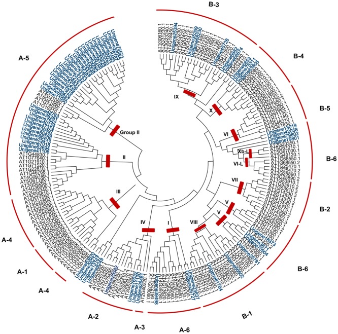 FIGURE 2