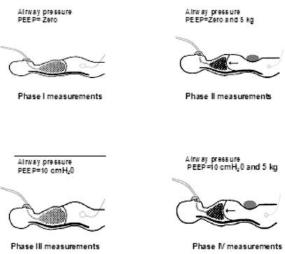 Figure 1 -