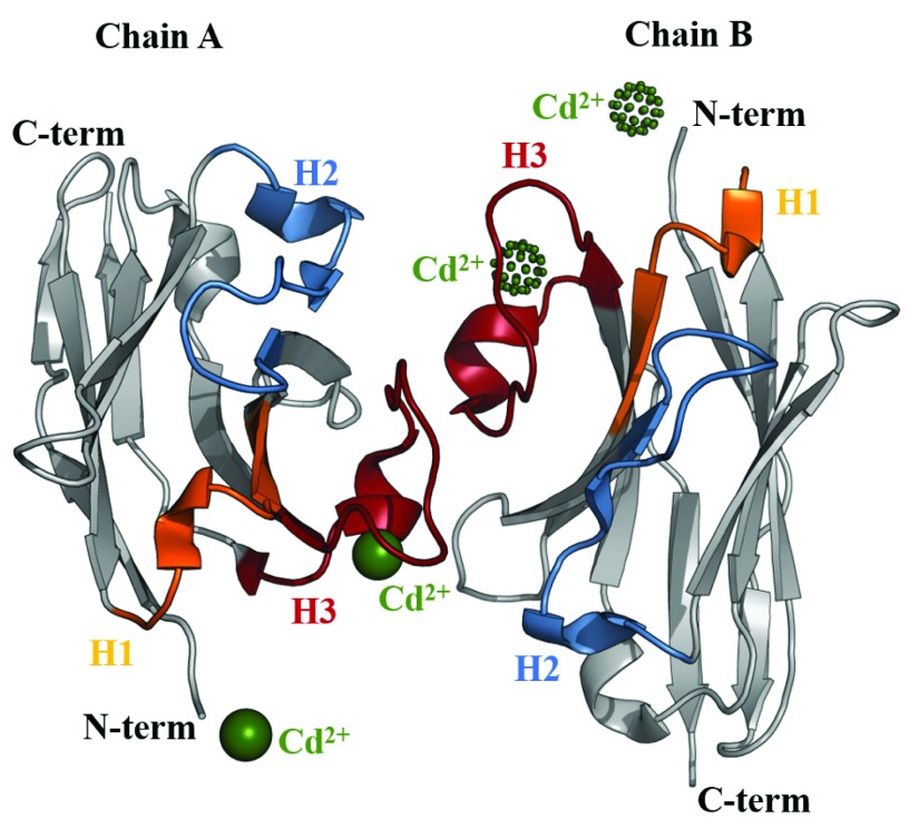 Figure 5. 