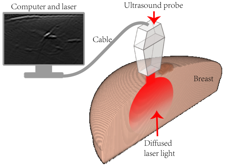 Fig. 3.