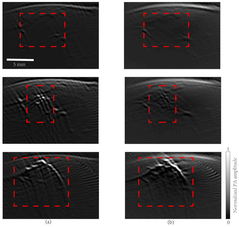 Fig. 5.