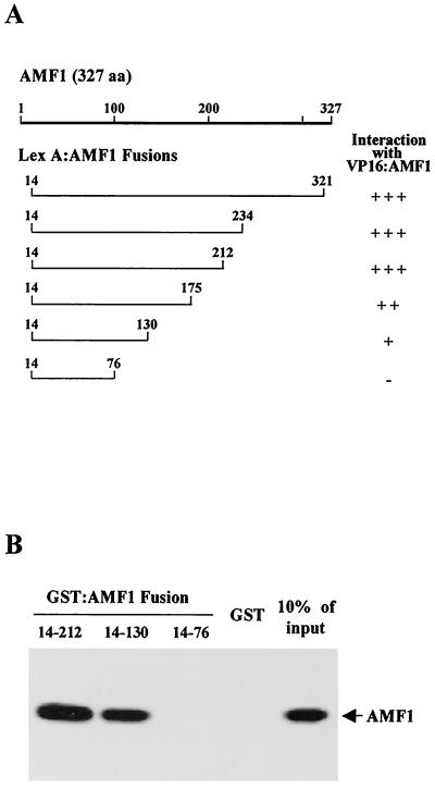 FIG. 7