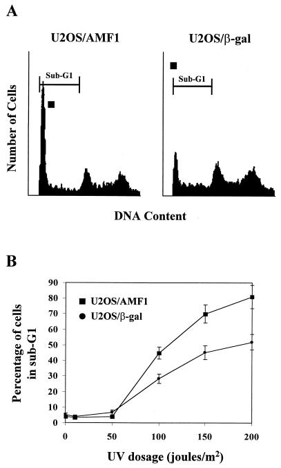 FIG. 10